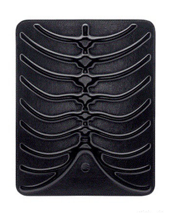 ����� ��� Apple iPad SwitchEasy RibCage