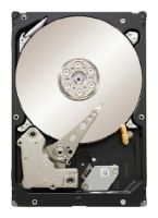 Seagate ST31000524AS 1000GB