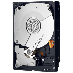 WD WD2001FASS 2000GB