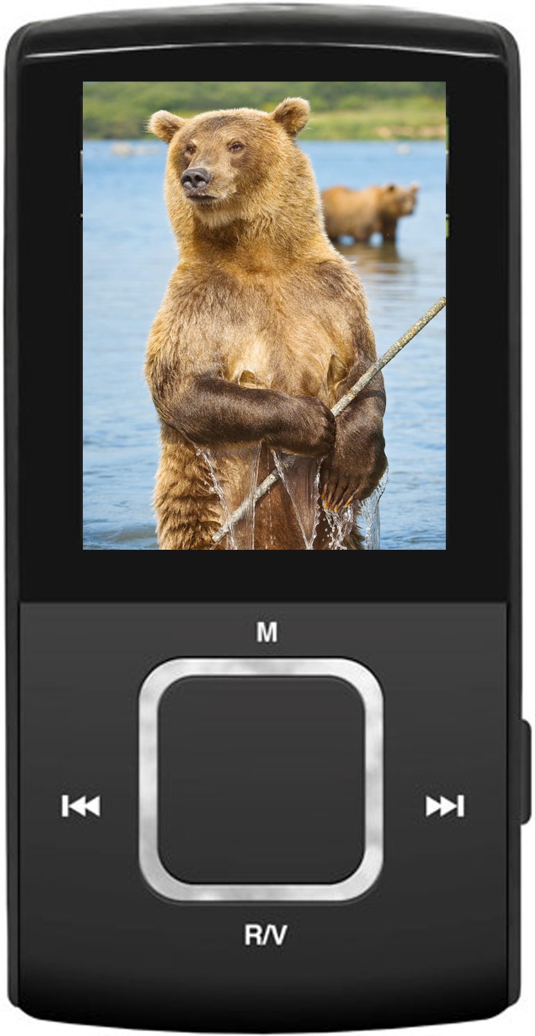 Ritmix RF-4100 4GB