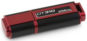 ������ Kingston DataTraveler 310 256 ��