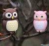 Bone Owl 8GB