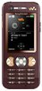 Sony Ericsson W890i