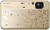Sony Cyber-shot DSC-T99