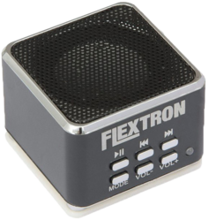 Фото портативной акустической системы Flextron F-CPAS-319B1-BK