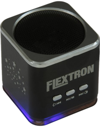 Фото портативной акустической системы Flextron F-CPAS-322B1-BK