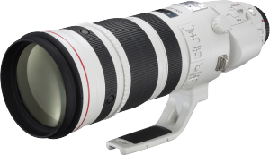 Фото объектива Canon EF 200-400mm f/4L IS USM Extender 1.4X