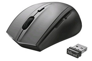 Фото оптической компьютерной мышки Trust EasyClick Wireless Mini Mouse USB
