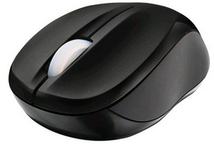 Фото оптической компьютерной мышки Trust Vivy Wireless Mini Mouse USB