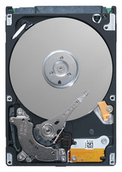 Фото Seagate ST9500420AS