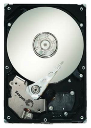 Фото Seagate ST3500620SS