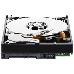 Фото Western Digital WD3200AZDX