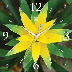 Фото настенных часов Zero Branko ZB 0525