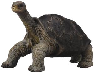 Фото абингдонская слоновая черепаха Gulliver Collecta 88619b