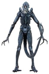 Фото фигурка Alien Warrior Aliens NECA 51394