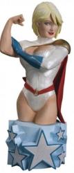 Фото фигурка Women Of The DC Universe Series 3 Power Girl Bust DC Unlimited 29401