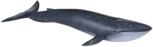 Фото голубой кит Gulliver 88044