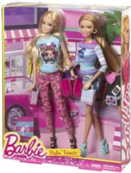 Фото куклы Mattel Barbie Барби и Саммер BDB40
