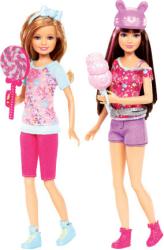 Фото куклы Mattel Barbie Сестры X9054