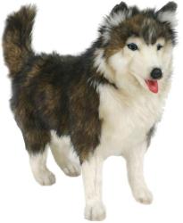 Фото Hansa Собака породы Сибирский Хаски 40 см 4824