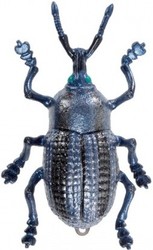 Фото Legend of Nara Жук-долгоносик 503996