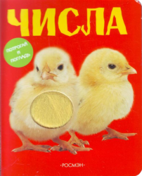 Фото Числа, Росмэн