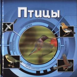 Фото 3D-книги Птицы (3D), Росмэн