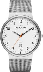 Фото мужских часов Skagen Steel SKW6025