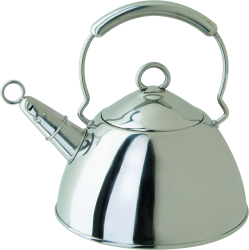 Фото чайника Regent INOX TEA 93-2001