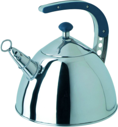 Фото чайника Regent INOX TEA 93-2505B