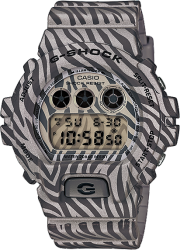 Фото мужских часов Casio G-Shock DW-6900ZB-8E