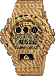 Фото мужских часов Casio G-Shock DW-6900ZB-9E