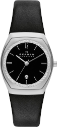 Фото женских часов Skagen SKW2119