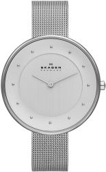 Фото женских часов Skagen SKW2140