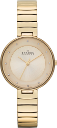 Фото женских часов Skagen SKW2226