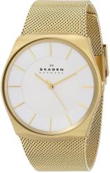 Фото мужских часов Skagen SKW6069