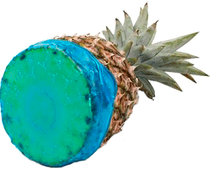 Фото крышка Fusionbrands CoverBlubber 8062-LG