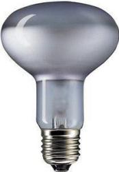 Фото энергосберегающей лампы Camelion 15W E27 LH15-R80/842