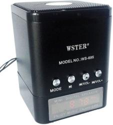 Фото портативной акустической системы WSTER WS-695