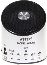 Фото портативной акустической системы WSTER WS-A9