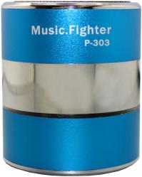 Фото портативной акустической системы Music Fighter P-303