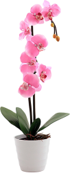 Фото настольного светильника СТАРТ Орхидея 2 розовый