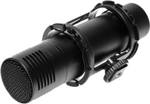 Фото Flama FL-VM300PS