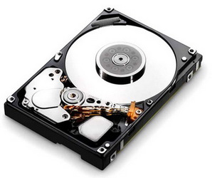 Фото Seagate ST3160813AS