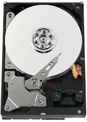 Фото Western Digital WD1600AVCS