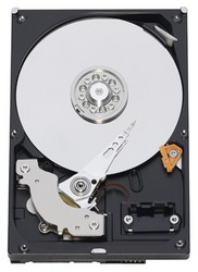 Фото Western Digital WDBAAY0030HNC-ERSN 3TB