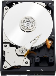 Фото Western Digital WD3001FYYG