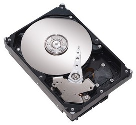 Фото Seagate ST3808110AS