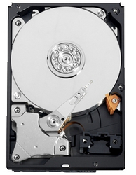 Фото Western Digital WD10EVDS