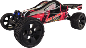 Фото Машина BSD Racing Buggy 1:5 RTR BS512T